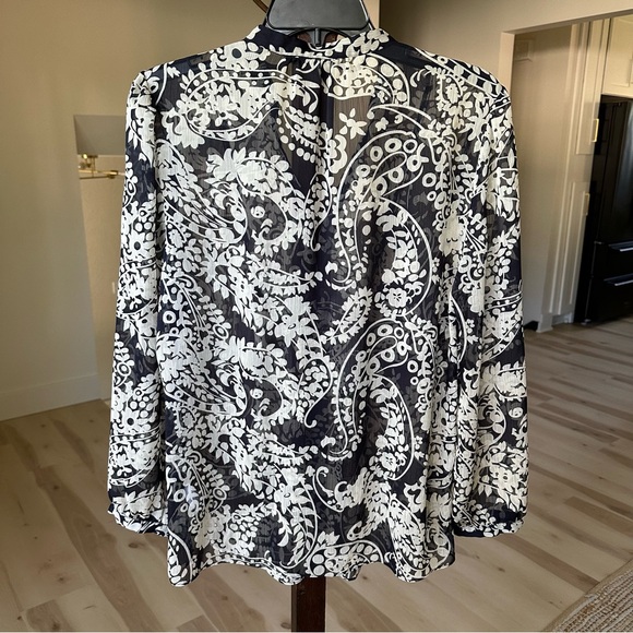 Banana Republic Sheer Blouse - Picture 2 of 4
